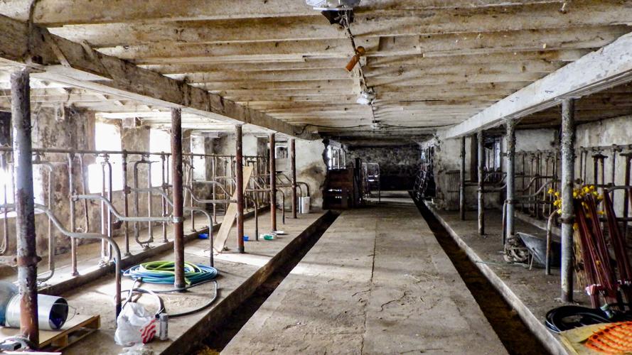 Milking parlor