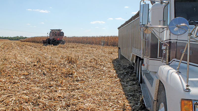 Saline County corn harvest