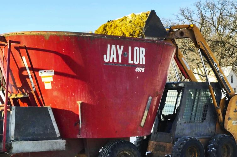 TMR at Sellner dairy farm