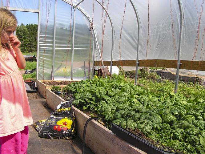 Gwendolyn Stephenson