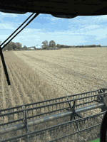 Chores continue during harvest delay