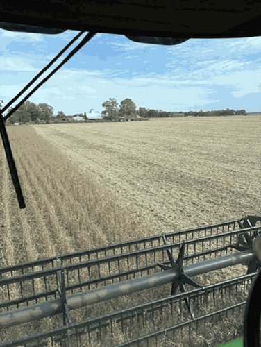 Paul Gieselman harvest
