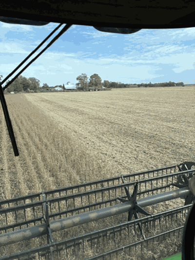 Paul Gieselman harvest