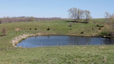 Farm pond
