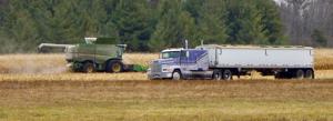 Harvest