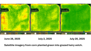 Eyes in the sky help farmers dial in nitrogen applications
