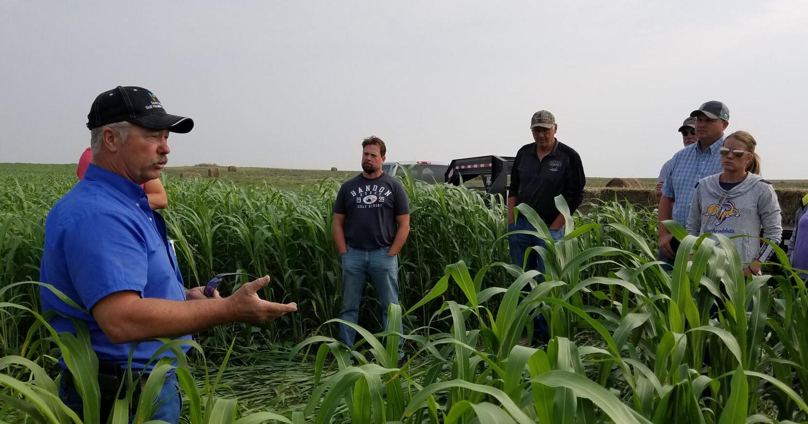 Moisture levels critical to cover crop decisions - Vimarsana News