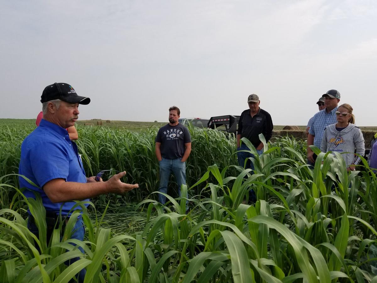 Cover crop moisture 1.jpg