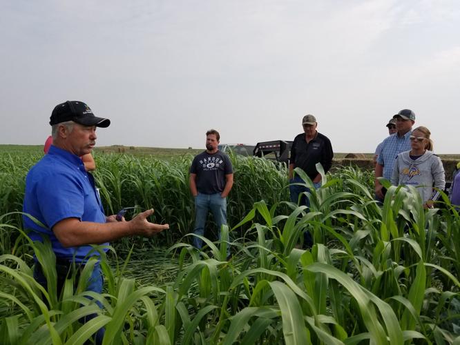 Cover crop moisture 1.jpg