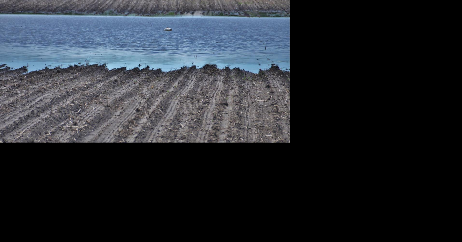 Wet conditions slog down 2019 corn planting progress