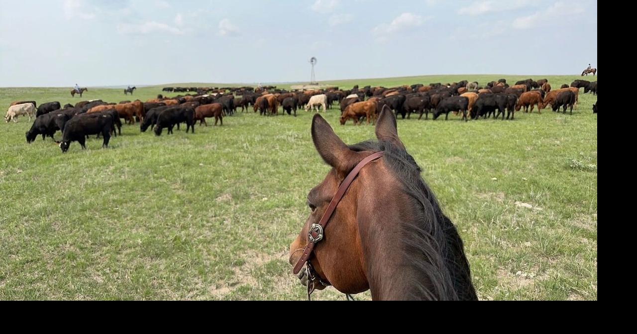 Nebraska Sandhills ranch draws record sale price, shifts to Texas ...