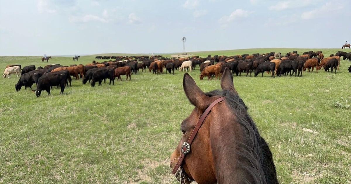 Sandy Ridge Ranch Nebraska Nebraska Sandhills ranch draws record sale price, shifts to Texas ...