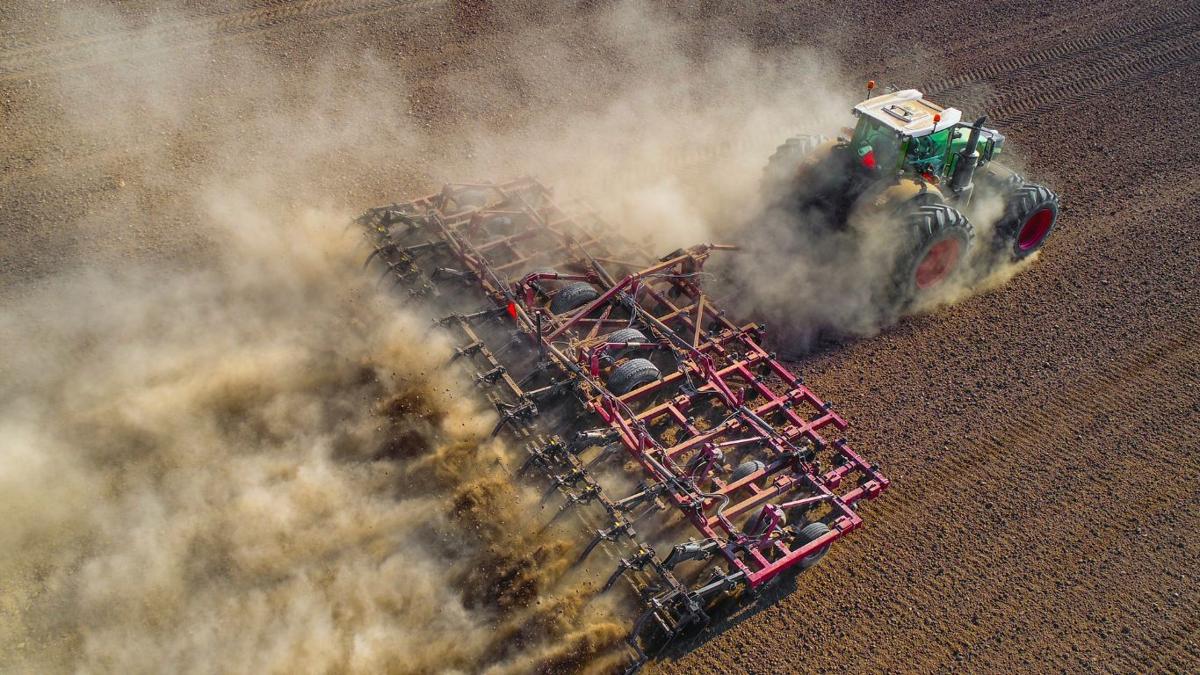 Cover crops, notill provide alternatives to spring tillage, erosion