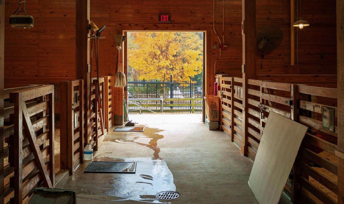 Barn Boards & Baling Wire Farm Life