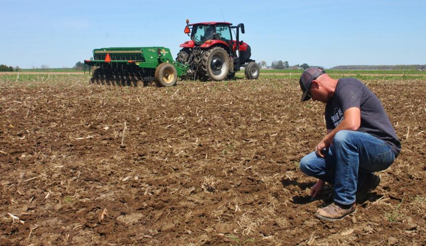 No-till planting good choice