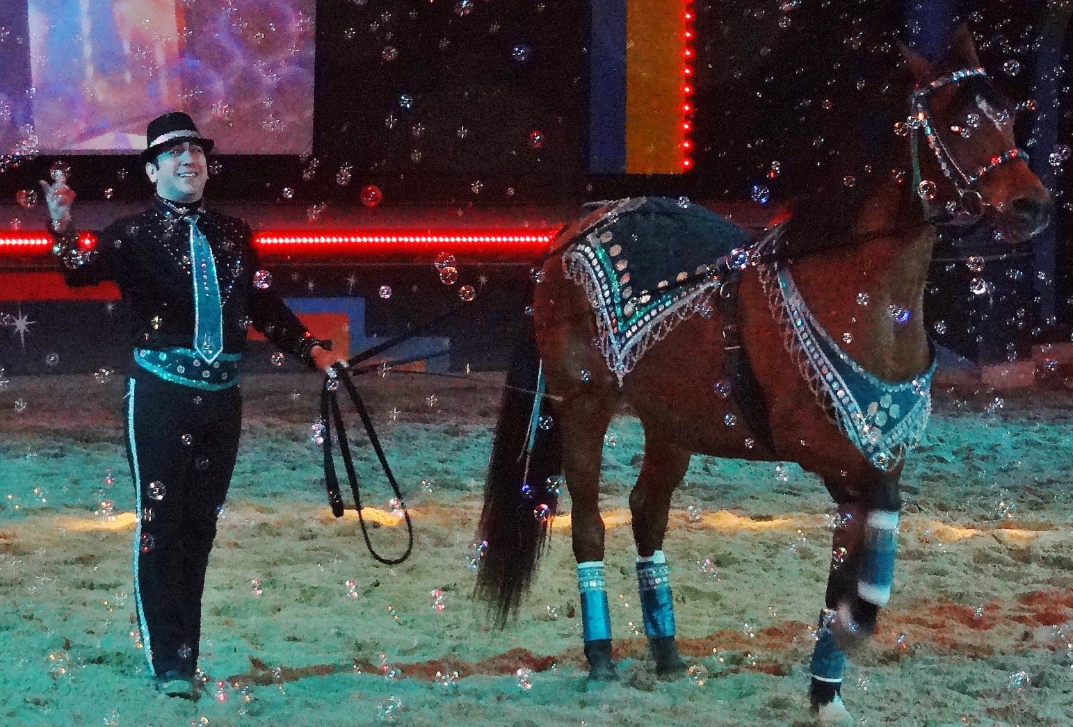 Dancing horses touch the heart