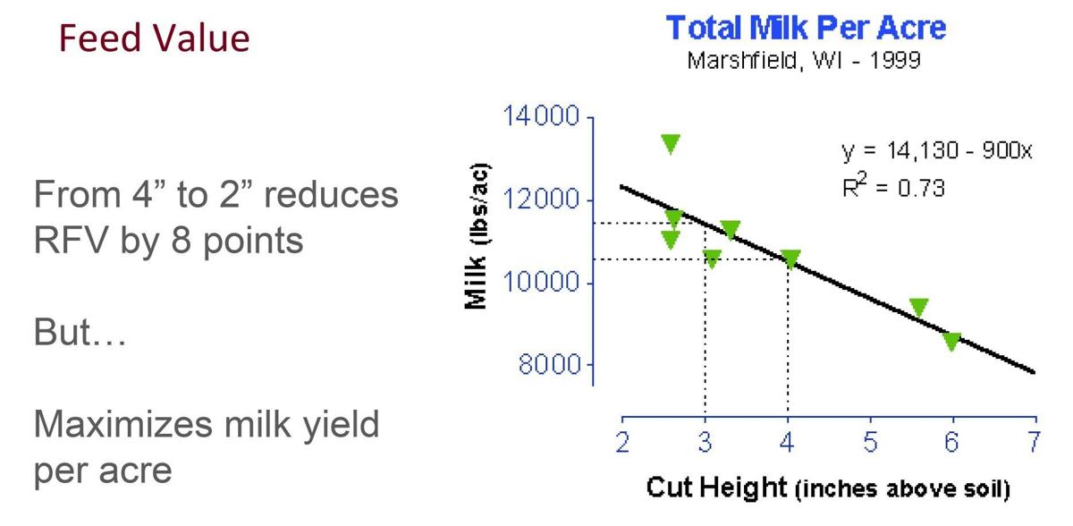 Feed Value