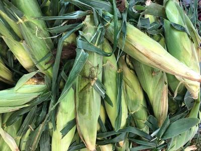 sweet corn