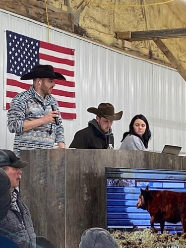 Matt Altman explains the farm’s better-bred heifer program.