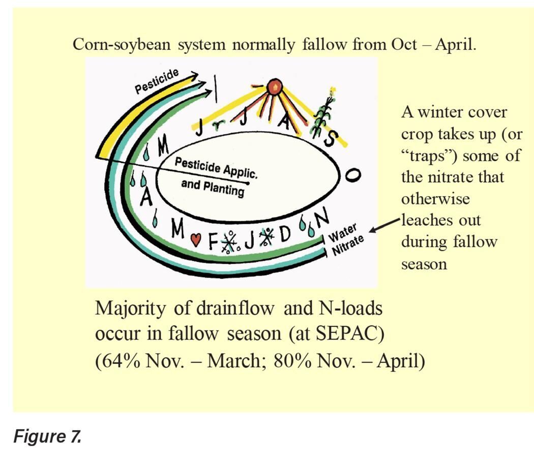 Figure 7. Crop rotation