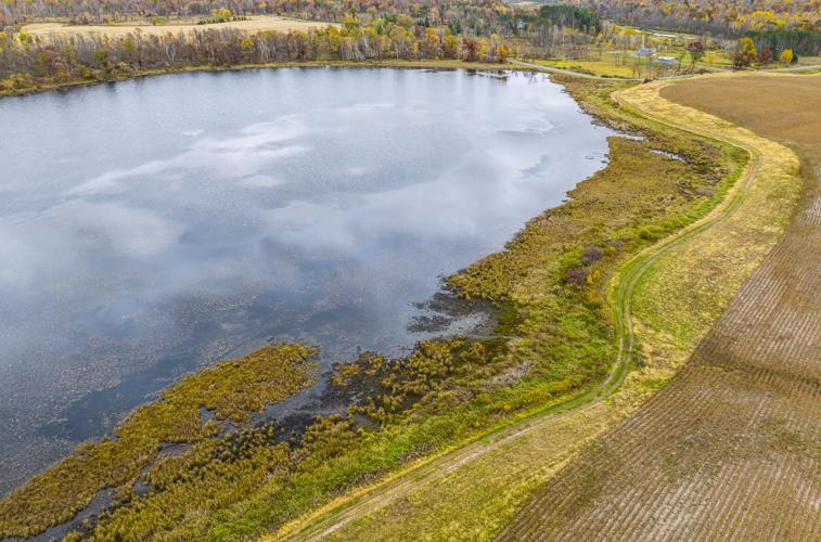 Buffer strip along pond