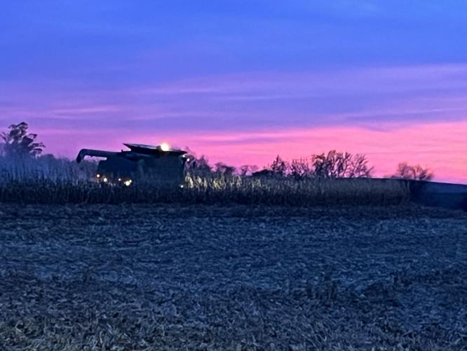 Down on the Farm (1).JPG