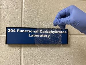 Grapevine cane-derived film