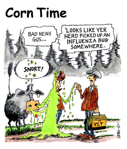 Corn Time by Bob Lang