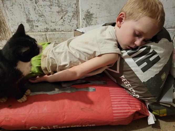 Gibson Jandt with kitten