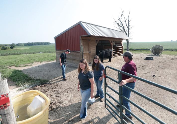Cambridge solar farm