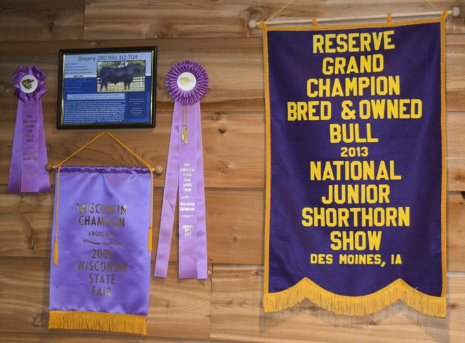 Wisconsin State Fair grand champion ribbons