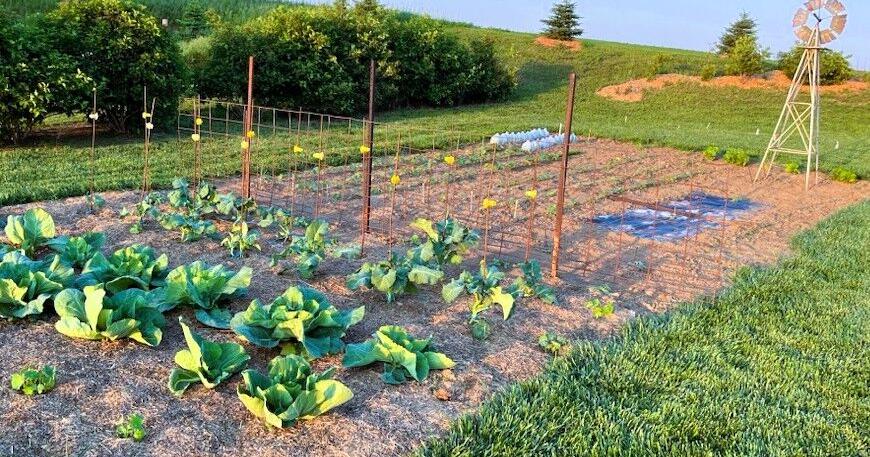 Getting scientific: Test results revealed from statewide soil health study