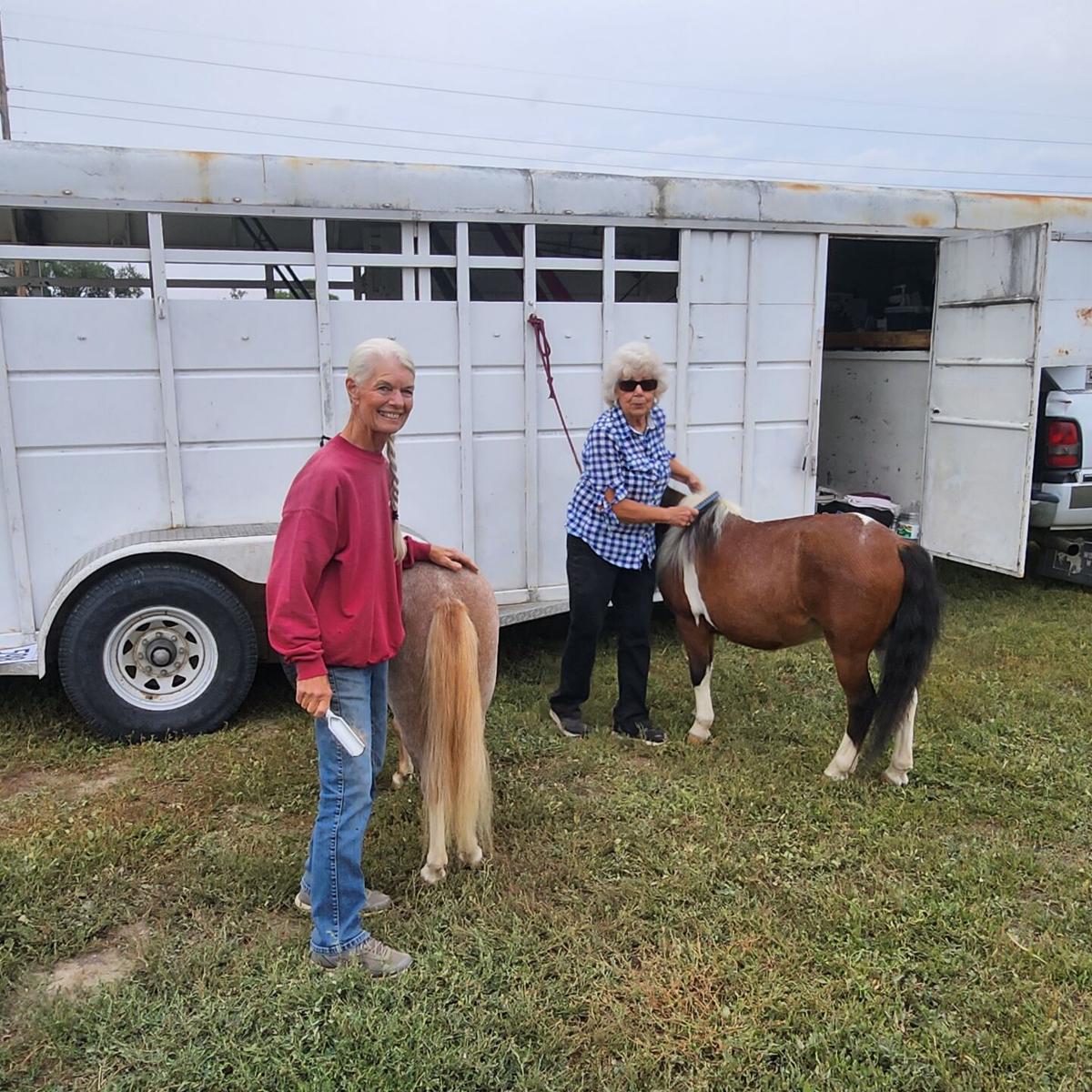 Montana Draft Horse Expo showcases breeds