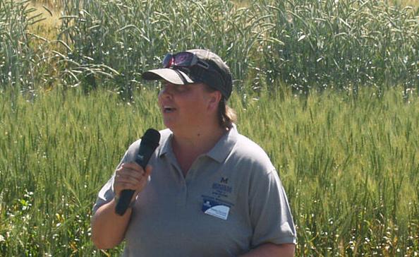 Fusarium