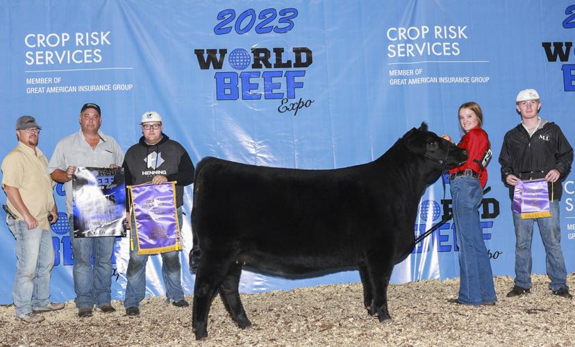 Grand champion Angus female of 2023 World Beef Expo