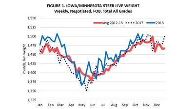 Cattle On Feed Numbers May Signal Industry Shift Livestock