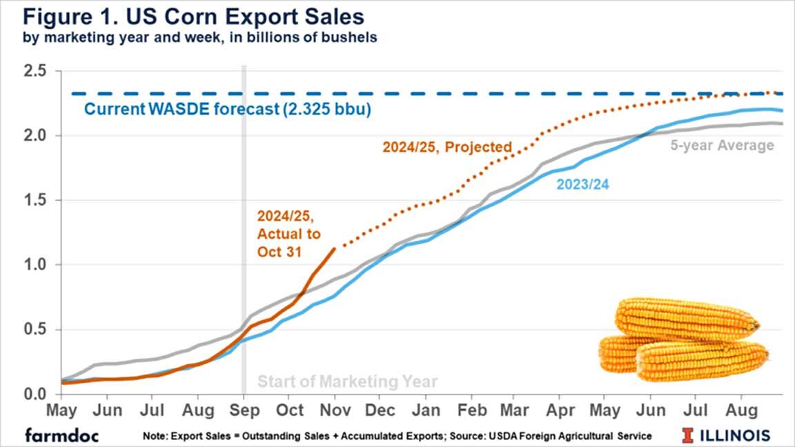 corn export