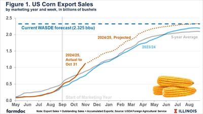 corn export