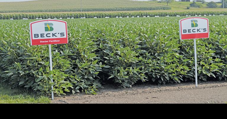 Selecting soybean traits for 2017