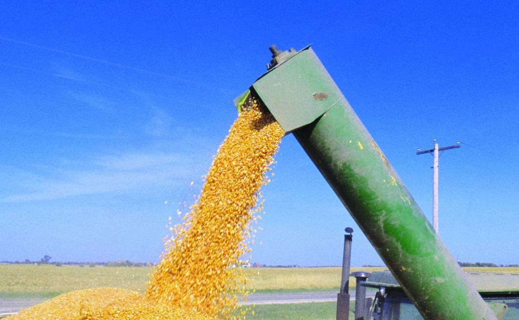 Corn auger