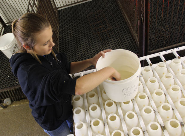 Bottle prep