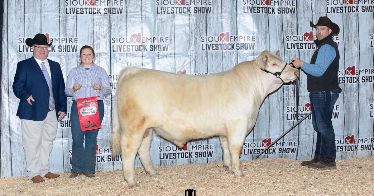Charolais bull, female win all other breeds show at Sioux Empire