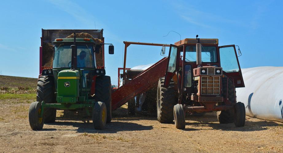 Jack Hass, a farmer near Evansville, Wisconsin, unloads a load of corn silage.