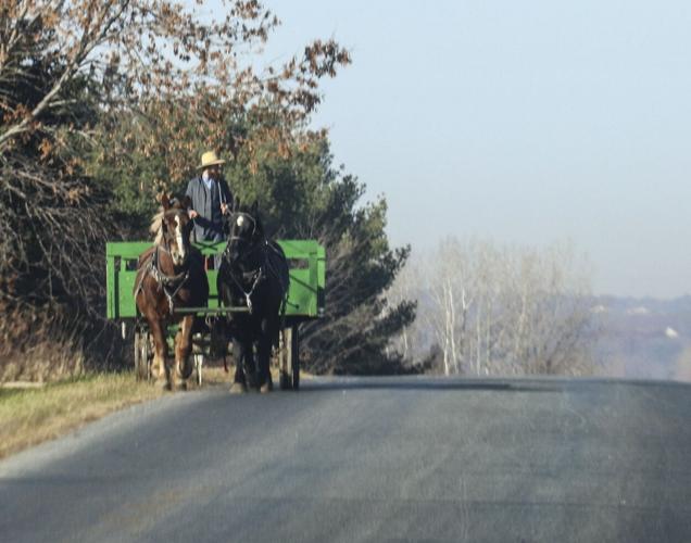 Amish wagon on road