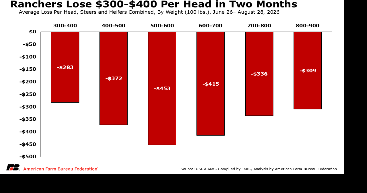 Beef imports chart