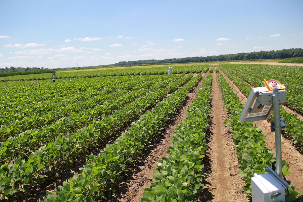 Feng field with instrument.jpg