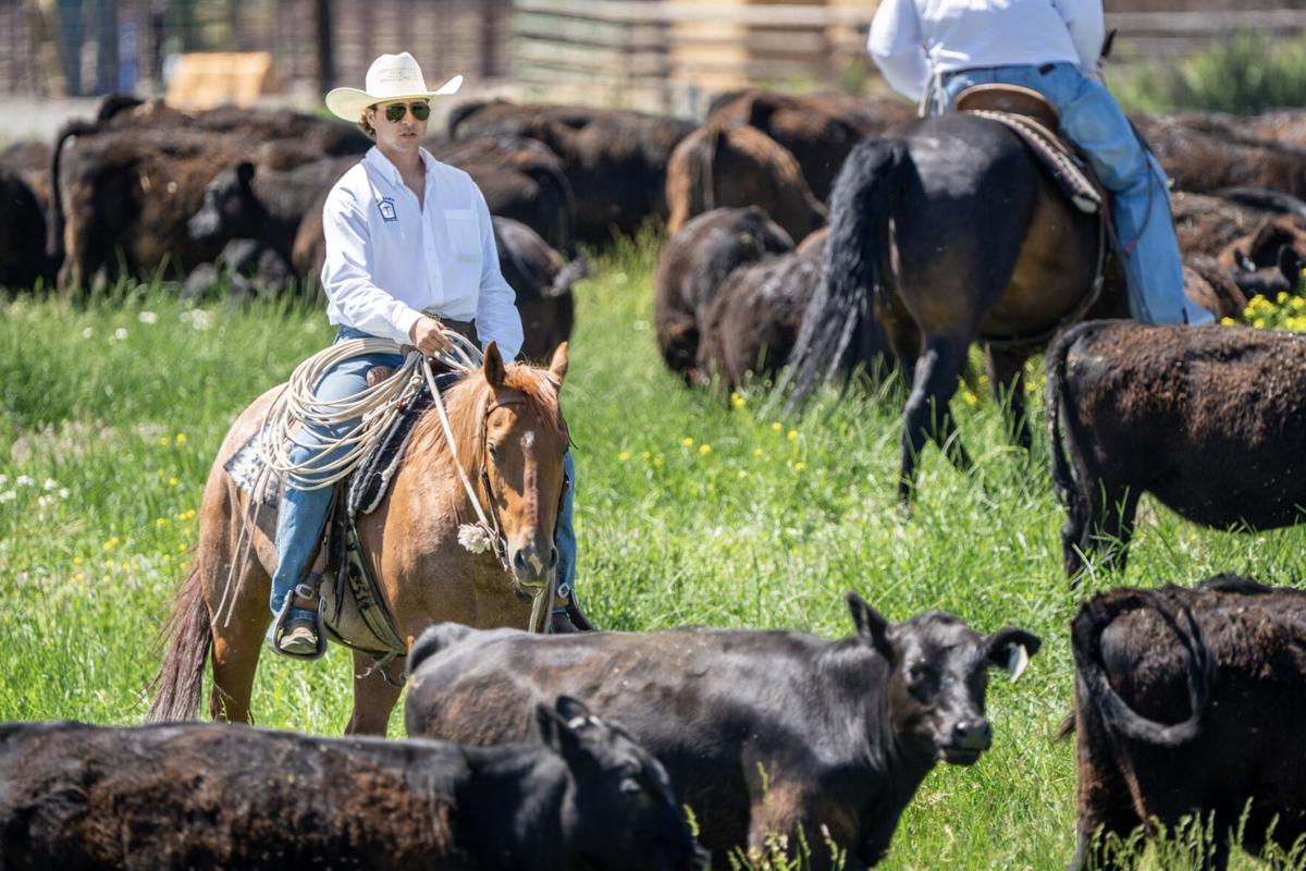 Grazing Lands bus tour 3.jpg