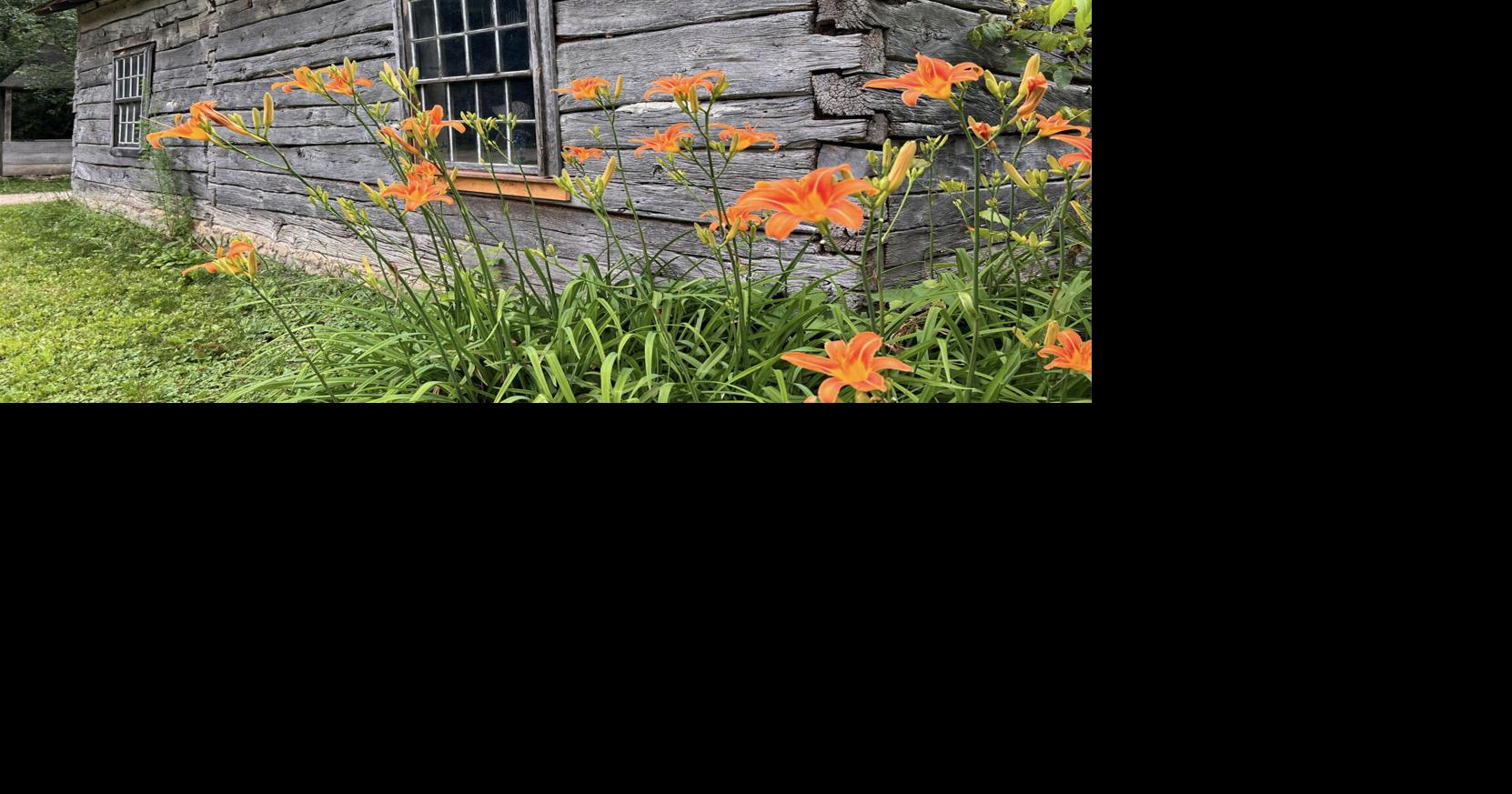 Farms tell challenging immigrant history
