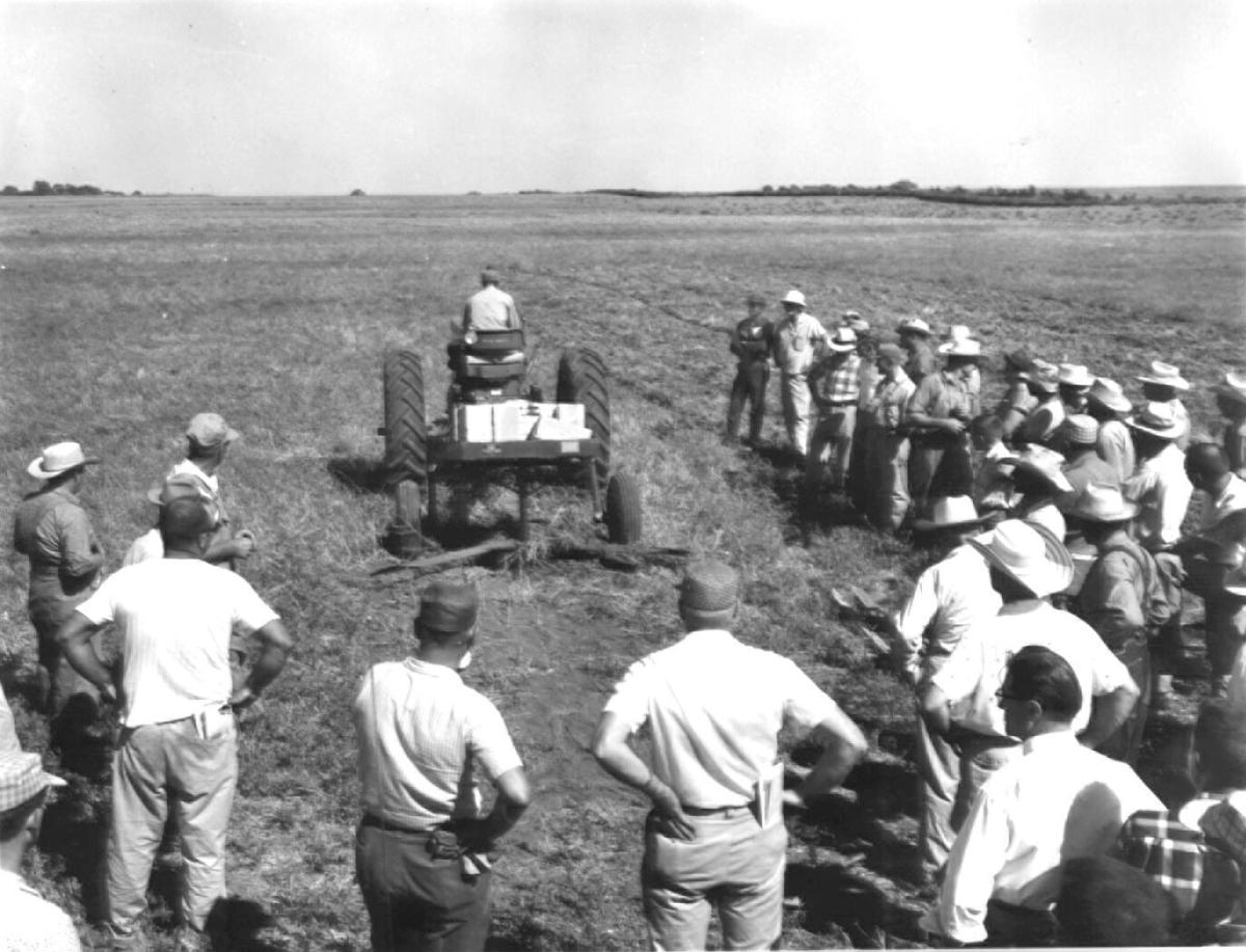 Mulch demonstration
