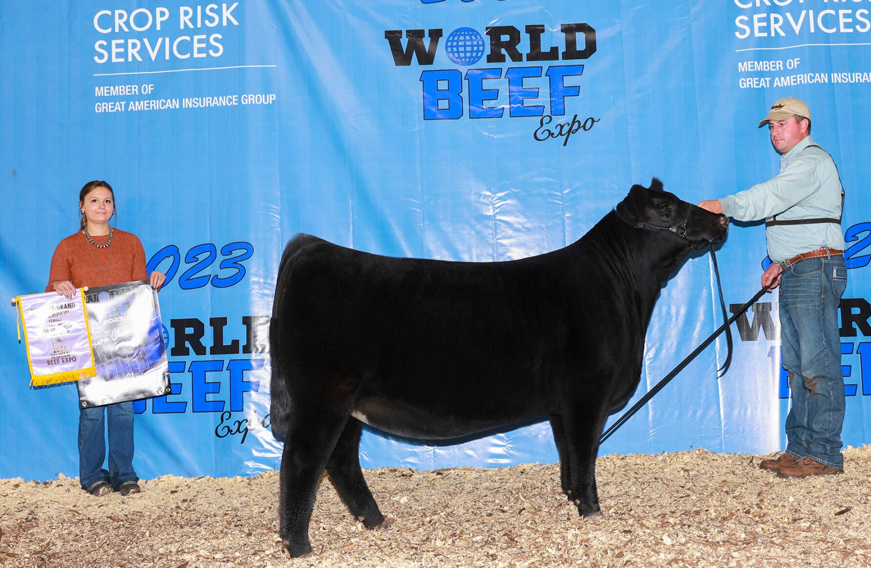 Reserve grand champion Angus female at 2023 World Beef Expo